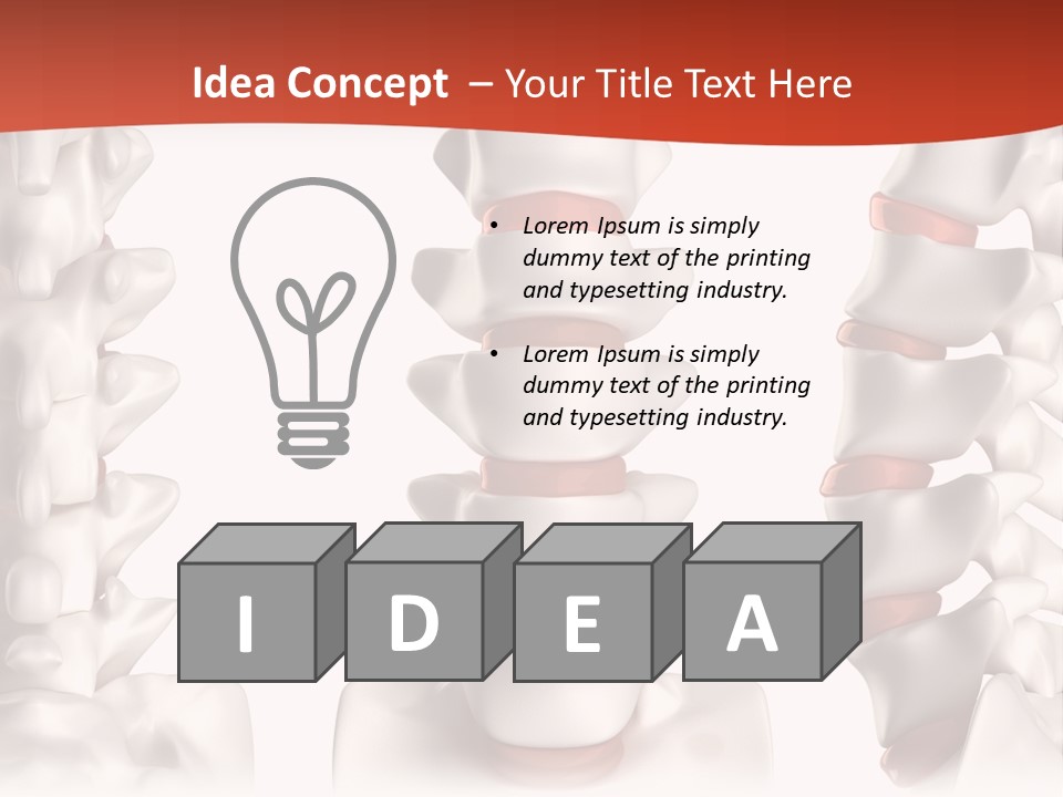 Spine Anatomy Lumbar Region PowerPoint Template
