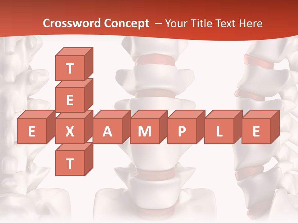 Spine Anatomy Lumbar Region PowerPoint Template