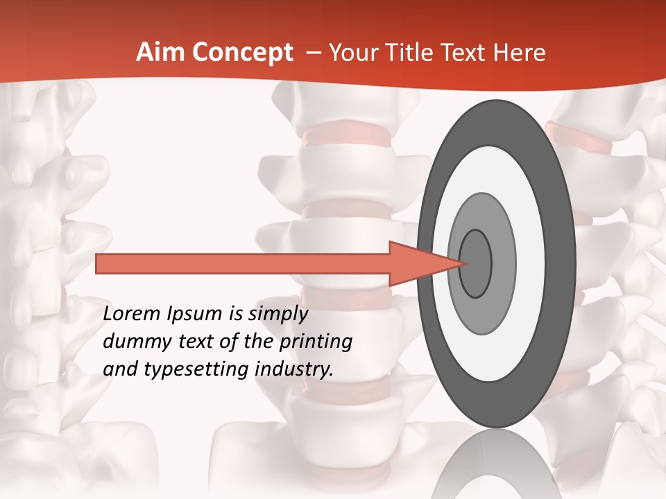 Spine Anatomy Lumbar Region PowerPoint Template
