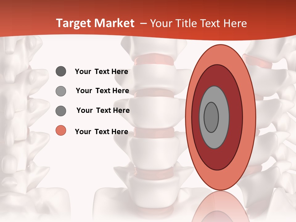 Spine Anatomy Lumbar Region PowerPoint Template