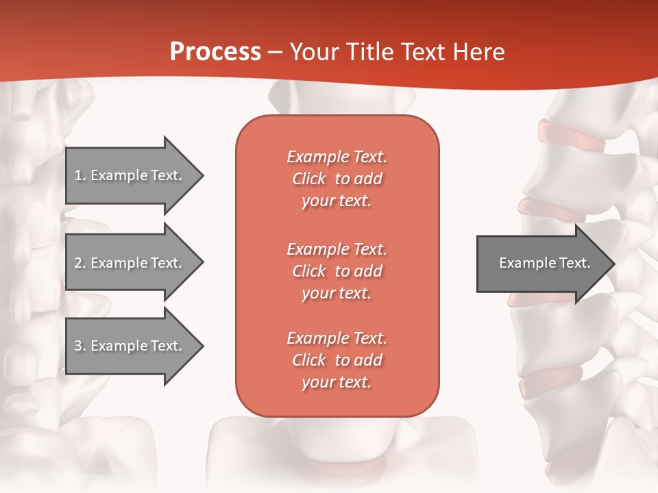 Spine Anatomy Lumbar Region PowerPoint Template