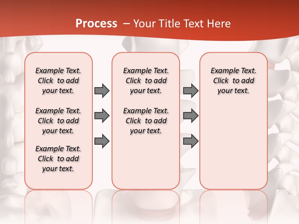 Spine Anatomy Lumbar Region PowerPoint Template
