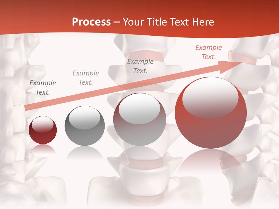 Spine Anatomy Lumbar Region PowerPoint Template