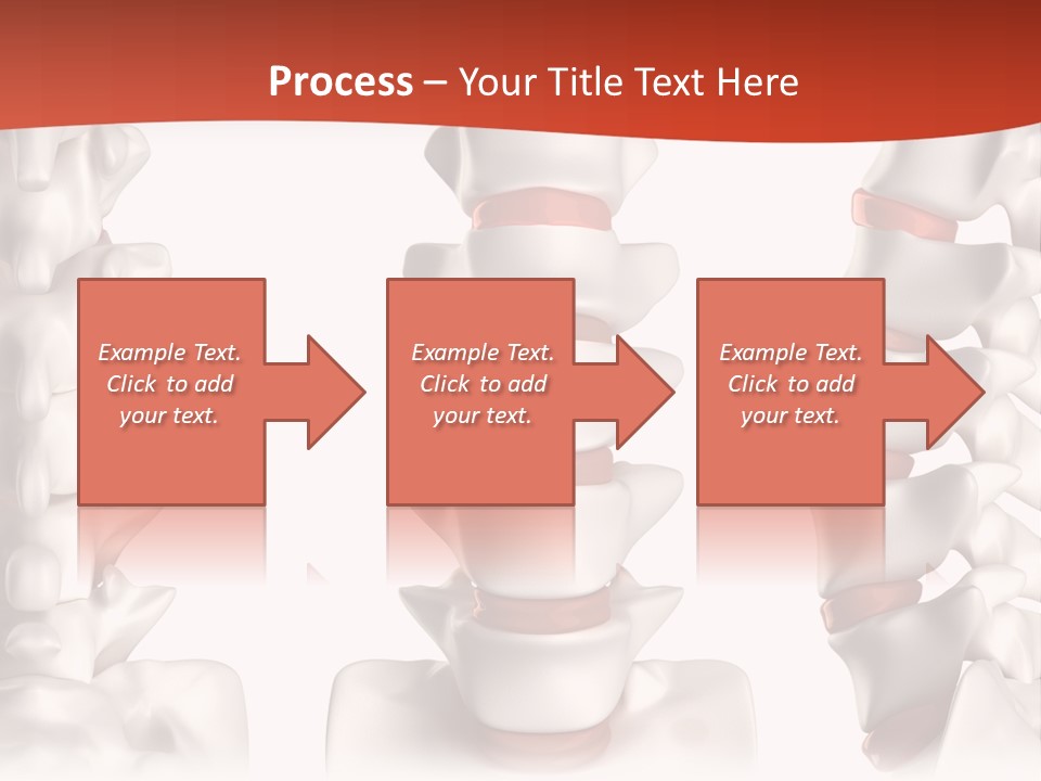 Spine Anatomy Lumbar Region PowerPoint Template