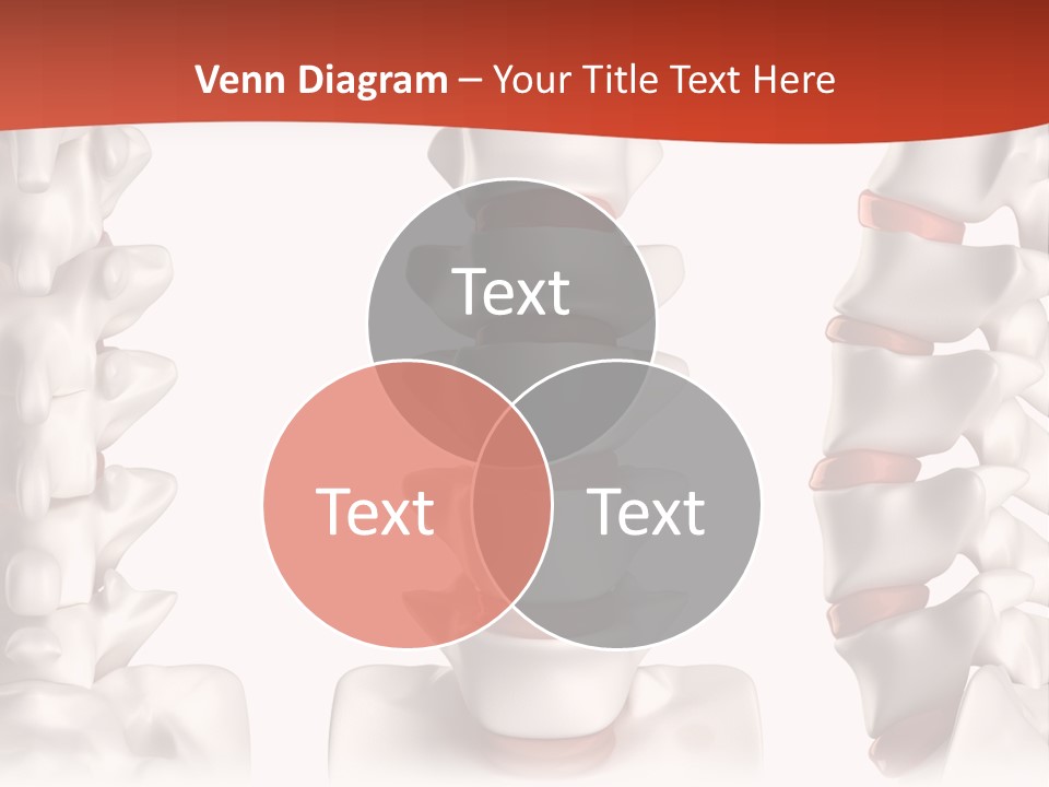 Spine Anatomy Lumbar Region PowerPoint Template