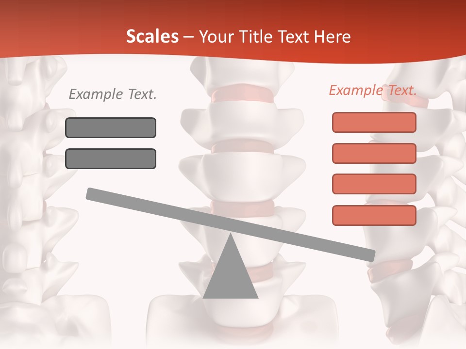 Spine Anatomy Lumbar Region PowerPoint Template