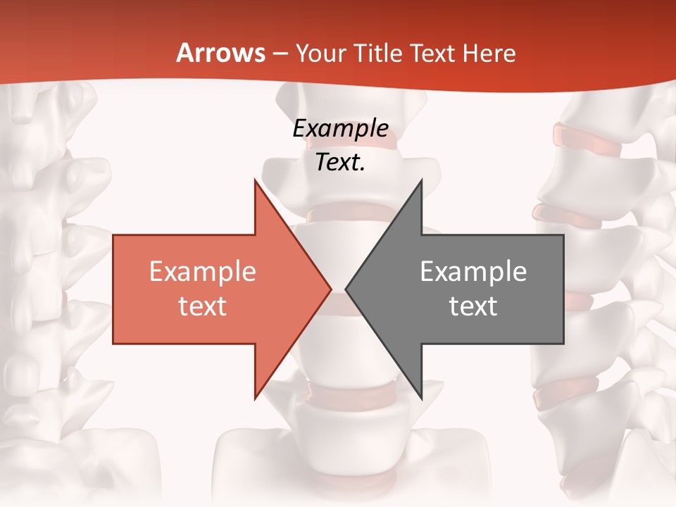 Spine Anatomy Lumbar Region PowerPoint Template