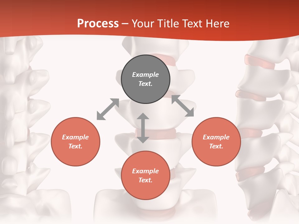 Spine Anatomy Lumbar Region PowerPoint Template