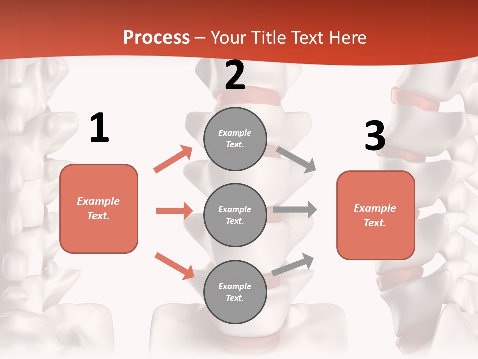 Spine Anatomy Lumbar Region PowerPoint Template