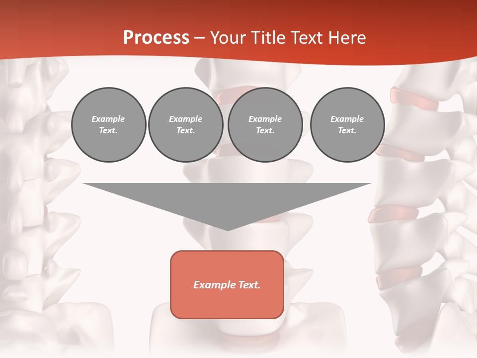Spine Anatomy Lumbar Region PowerPoint Template