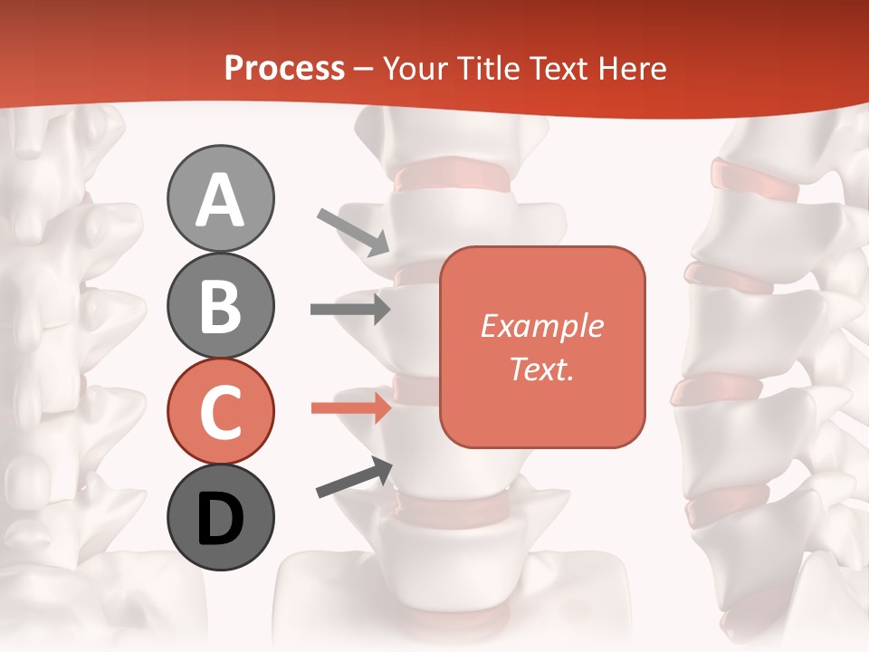 Spine Anatomy Lumbar Region PowerPoint Template
