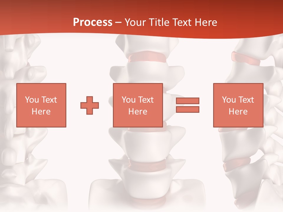Spine Anatomy Lumbar Region PowerPoint Template