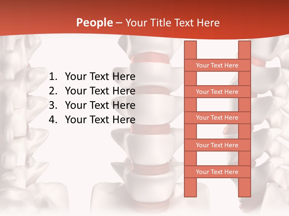 Spine Anatomy Lumbar Region PowerPoint Template