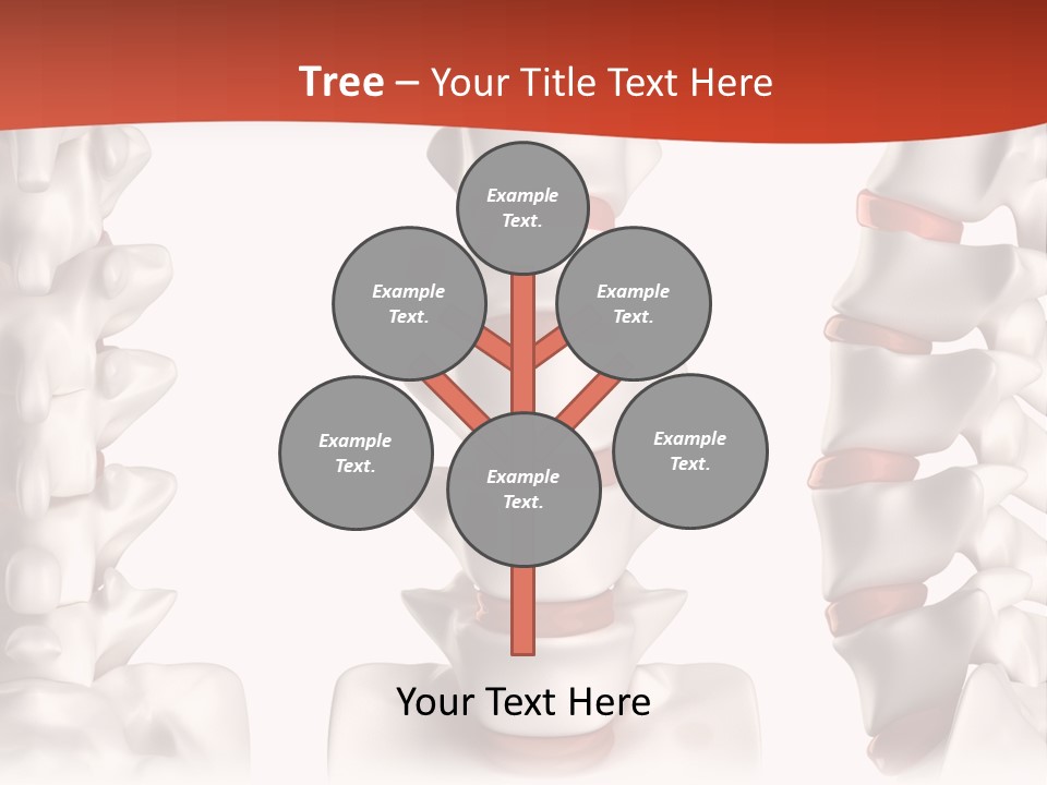 Spine Anatomy Lumbar Region PowerPoint Template