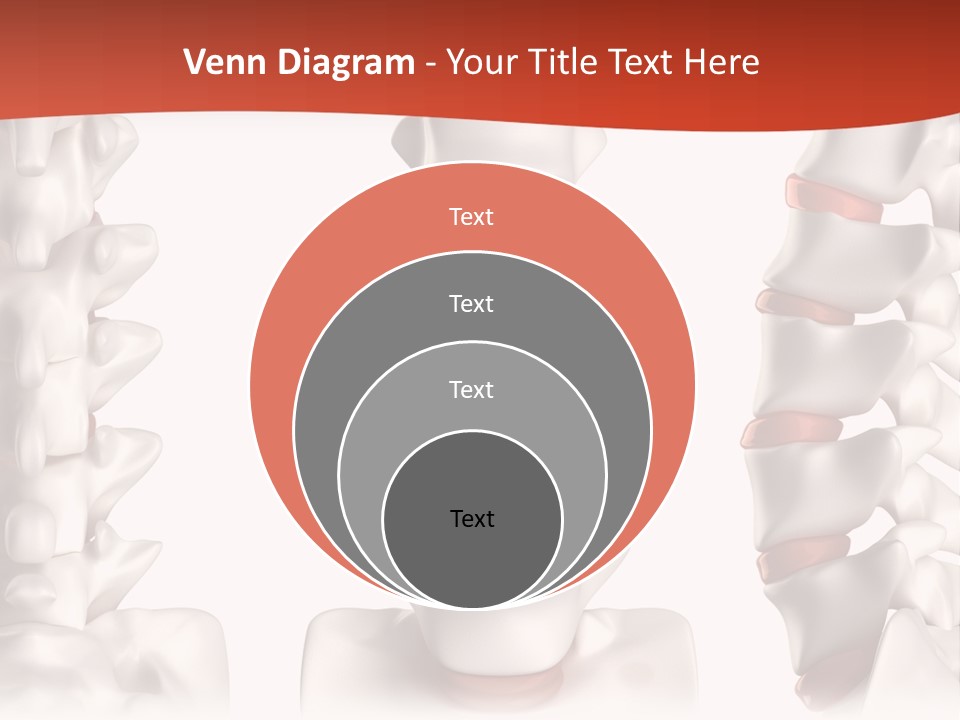 Spine Anatomy Lumbar Region PowerPoint Template