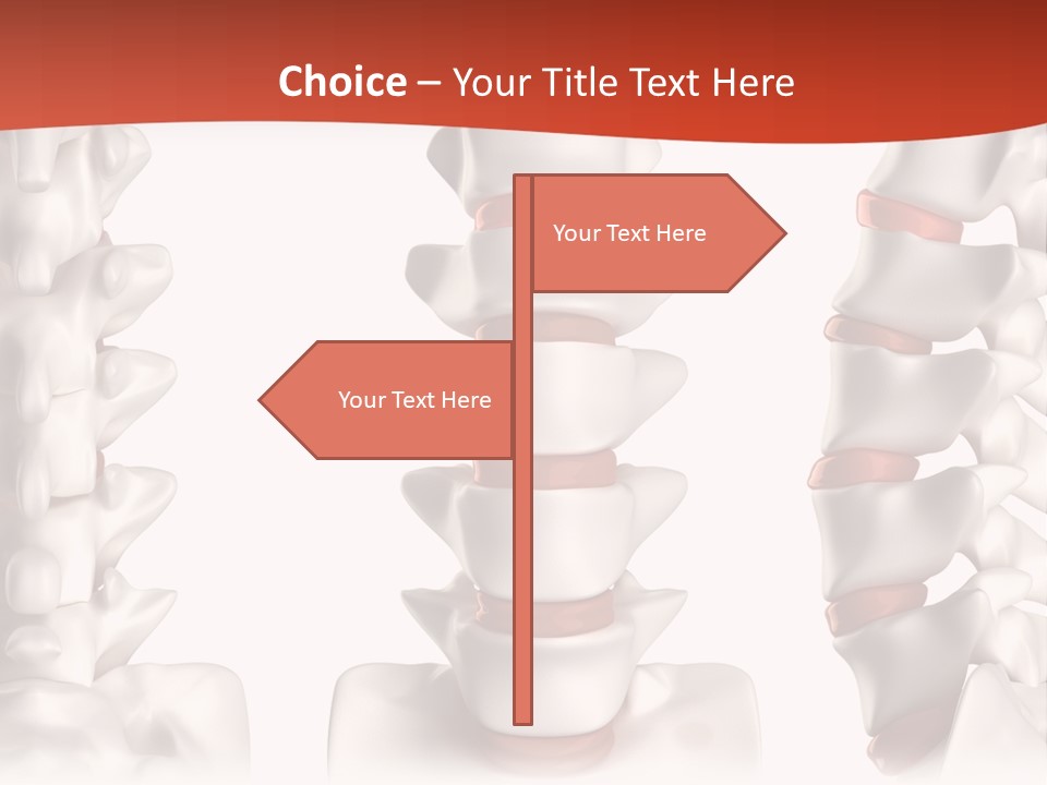 Spine Anatomy Lumbar Region PowerPoint Template