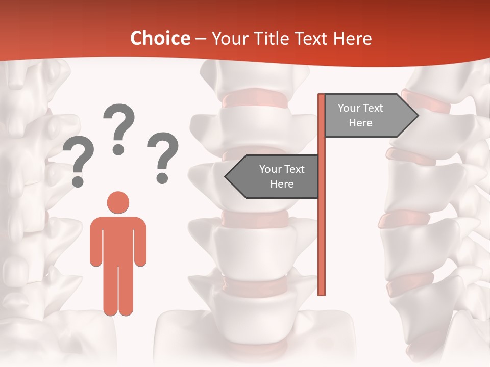 Spine Anatomy Lumbar Region PowerPoint Template