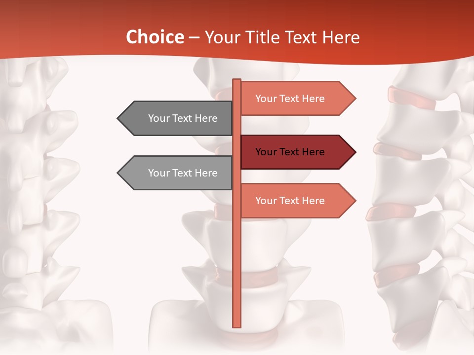 Spine Anatomy Lumbar Region PowerPoint Template
