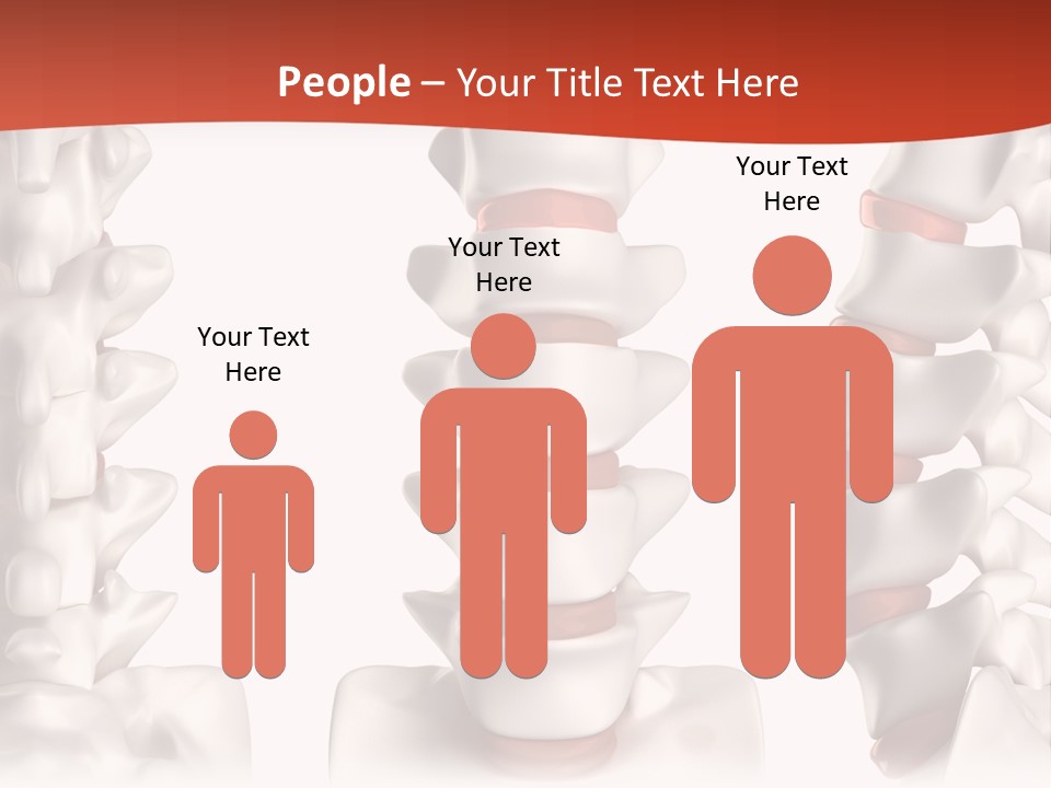 Spine Anatomy Lumbar Region PowerPoint Template