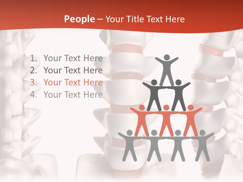 Spine Anatomy Lumbar Region PowerPoint Template