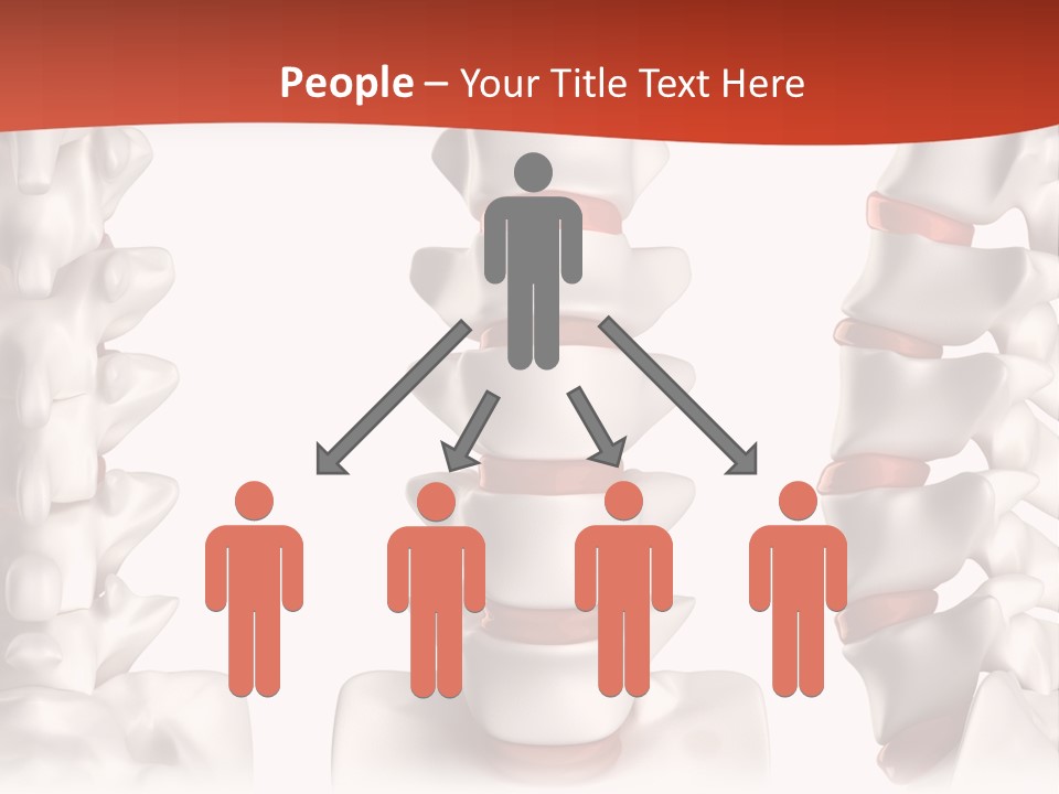 Spine Anatomy Lumbar Region PowerPoint Template