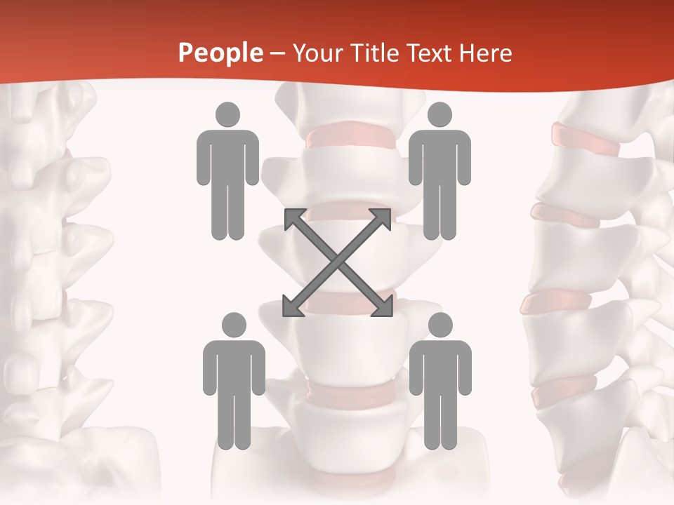 Spine Anatomy Lumbar Region PowerPoint Template