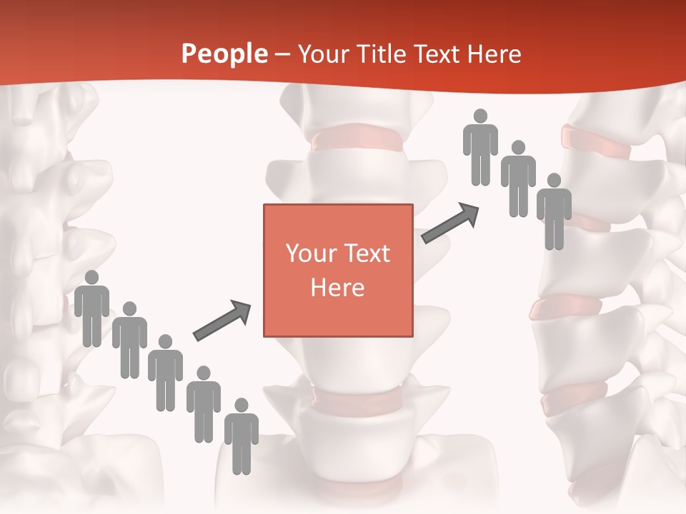 Spine Anatomy Lumbar Region PowerPoint Template