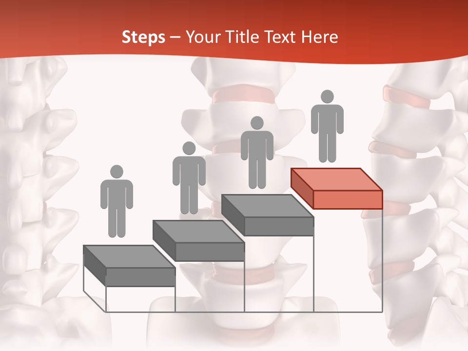 Spine Anatomy Lumbar Region PowerPoint Template