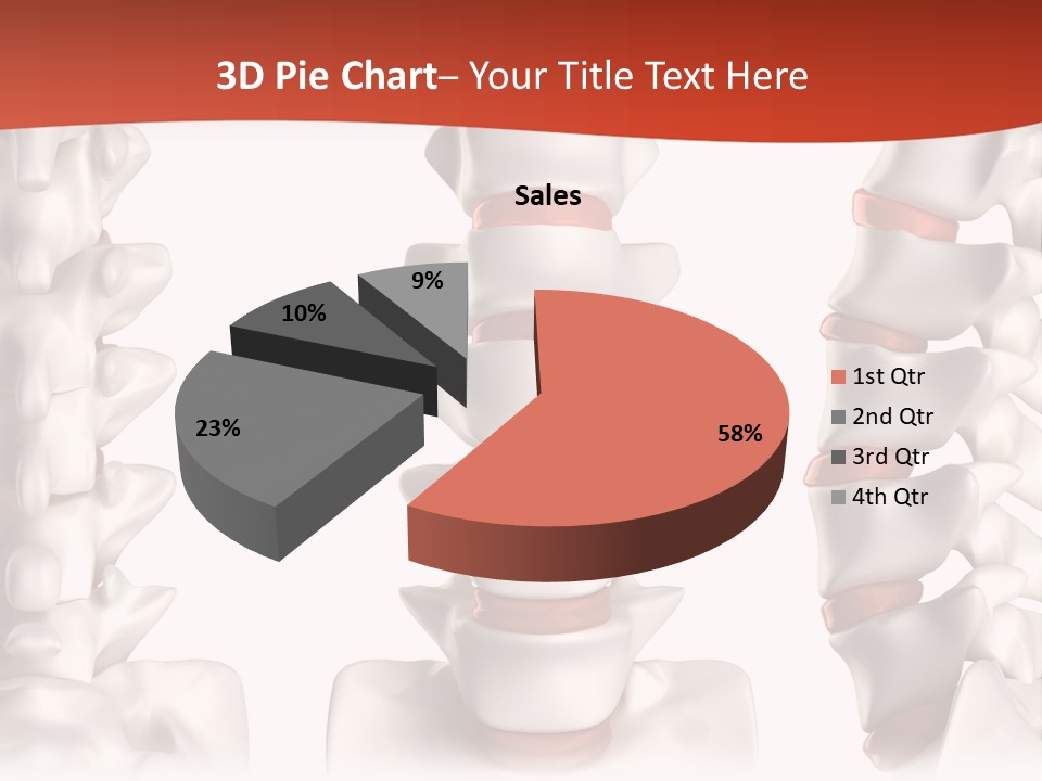 Spine Anatomy Lumbar Region PowerPoint Template