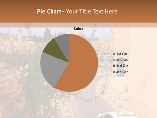 Taxi In Jerusalem PowerPoint Template