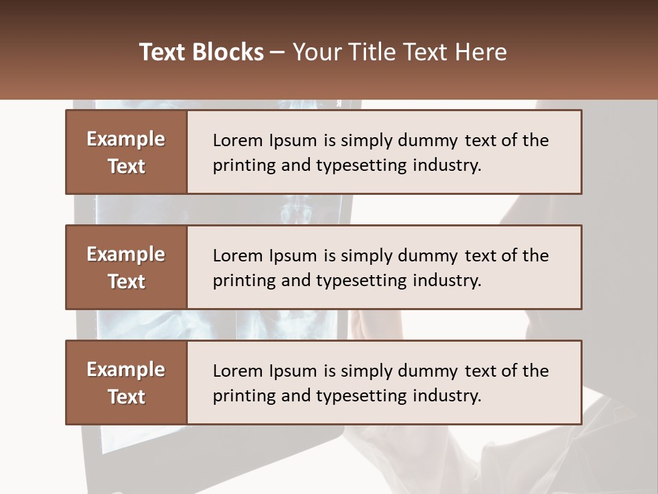 X-Ray Of The Spine PowerPoint Template