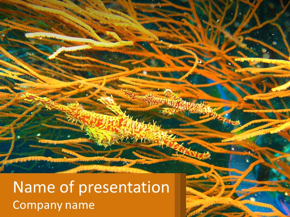 Deep-Sea Algae PowerPoint Template