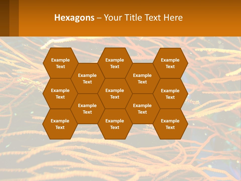 Deep-Sea Algae PowerPoint Template