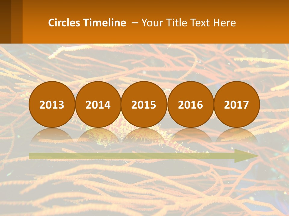 Deep-Sea Algae PowerPoint Template