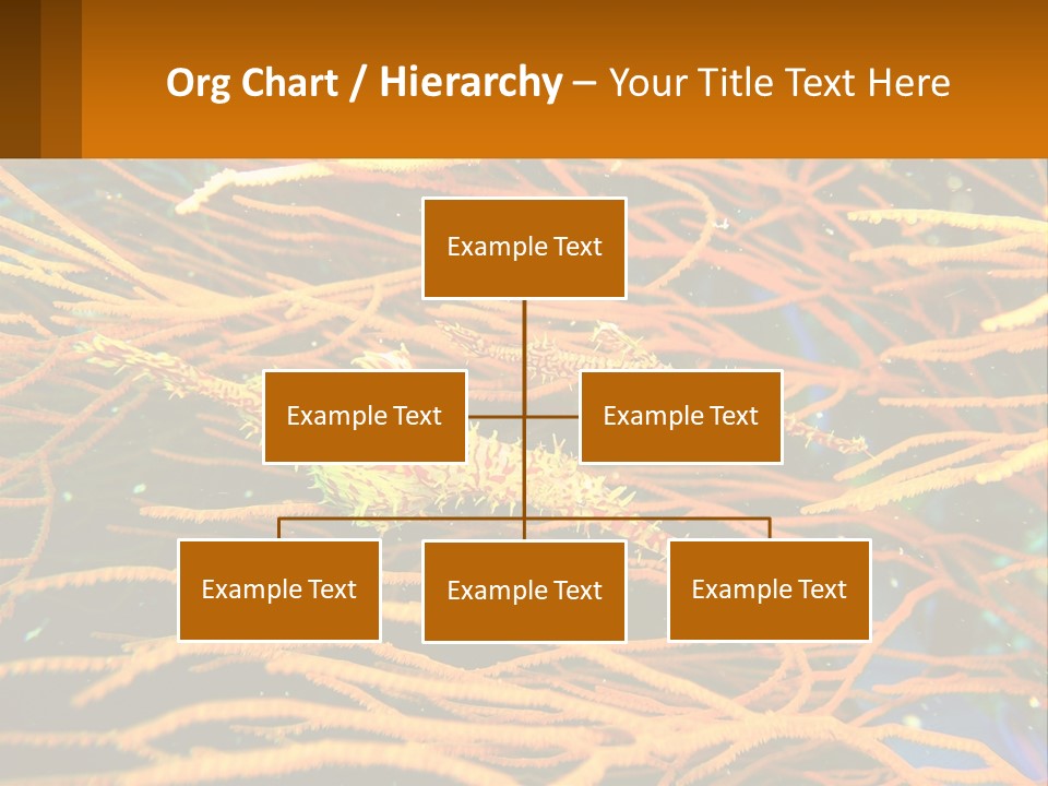 Deep-Sea Algae PowerPoint Template