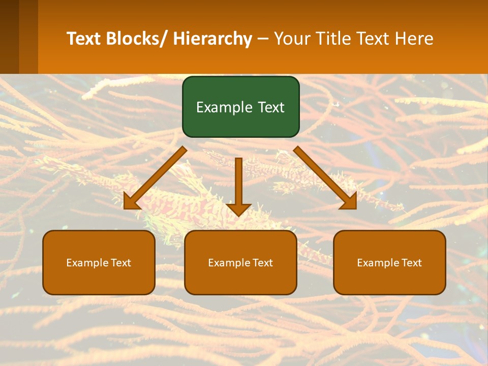 Deep-Sea Algae PowerPoint Template