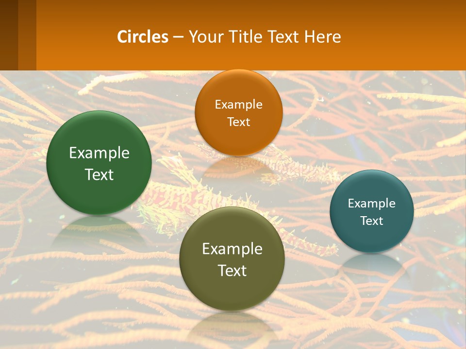 Deep-Sea Algae PowerPoint Template