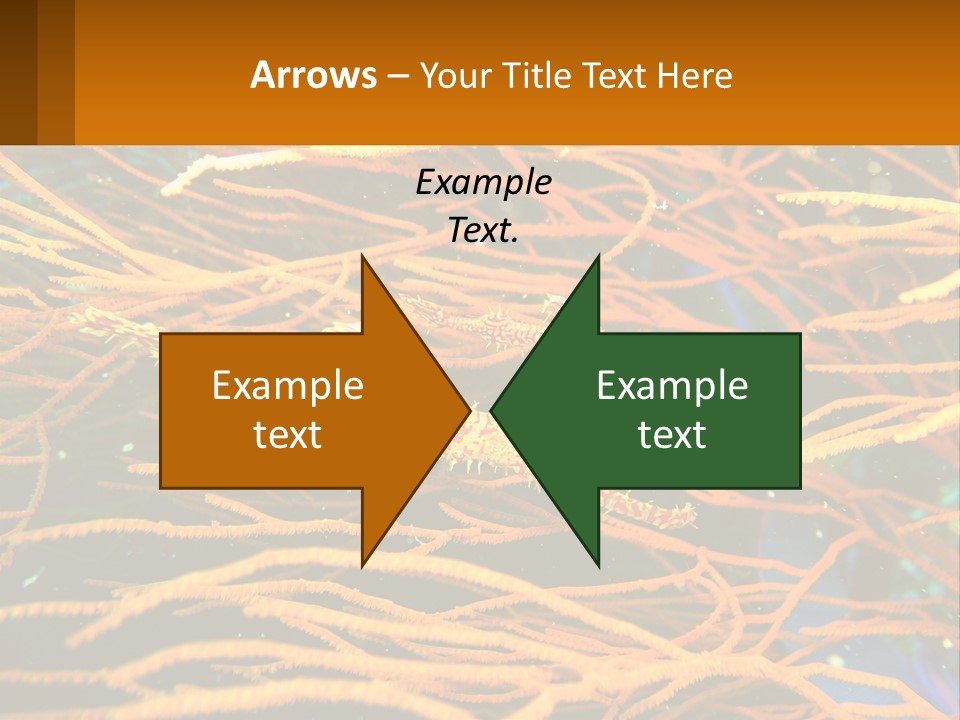 Deep-Sea Algae PowerPoint Template