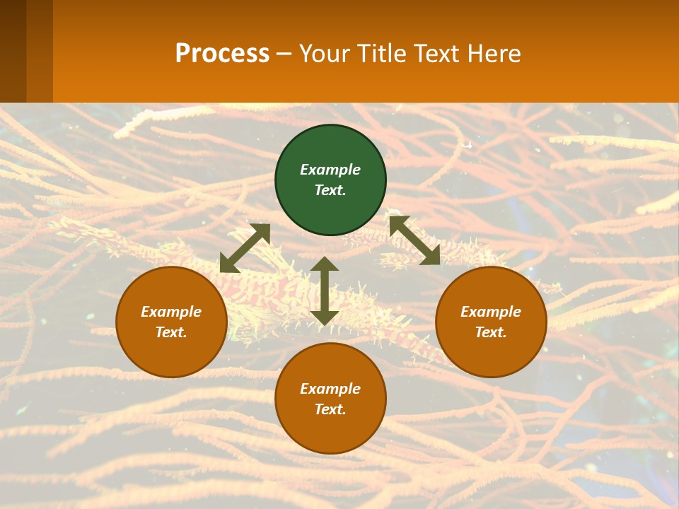 Deep-Sea Algae PowerPoint Template