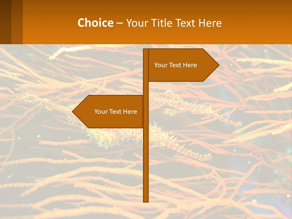 Deep-Sea Algae PowerPoint Template