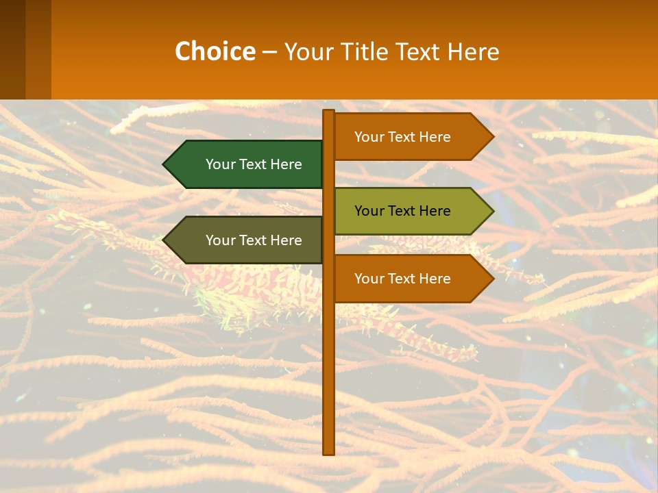 Deep-Sea Algae PowerPoint Template