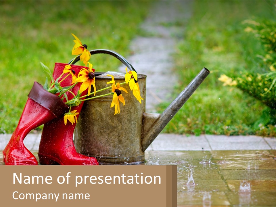 Watering Can And Flowers PowerPoint Template