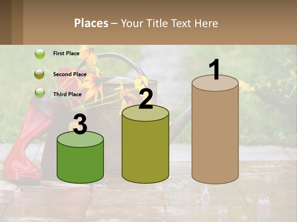 Watering Can And Flowers PowerPoint Template