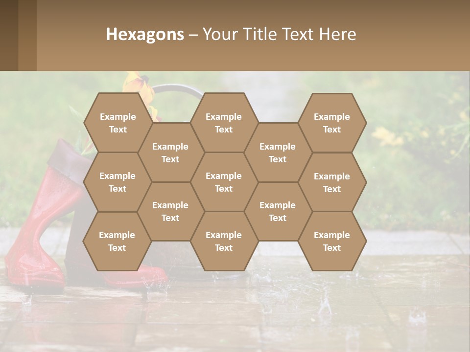 Watering Can And Flowers PowerPoint Template