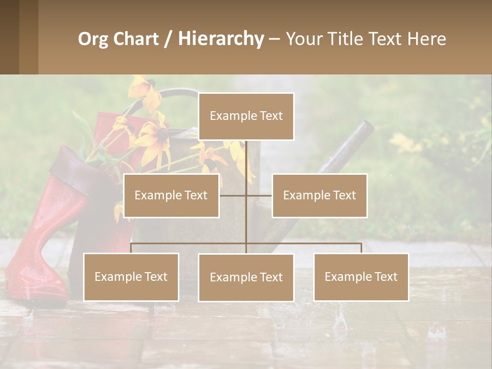 Watering Can And Flowers PowerPoint Template
