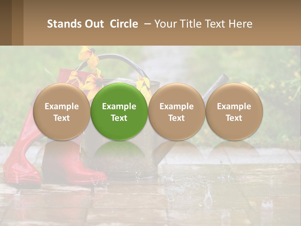 Watering Can And Flowers PowerPoint Template