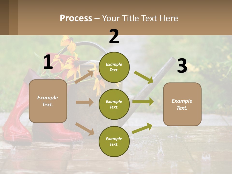 Watering Can And Flowers PowerPoint Template