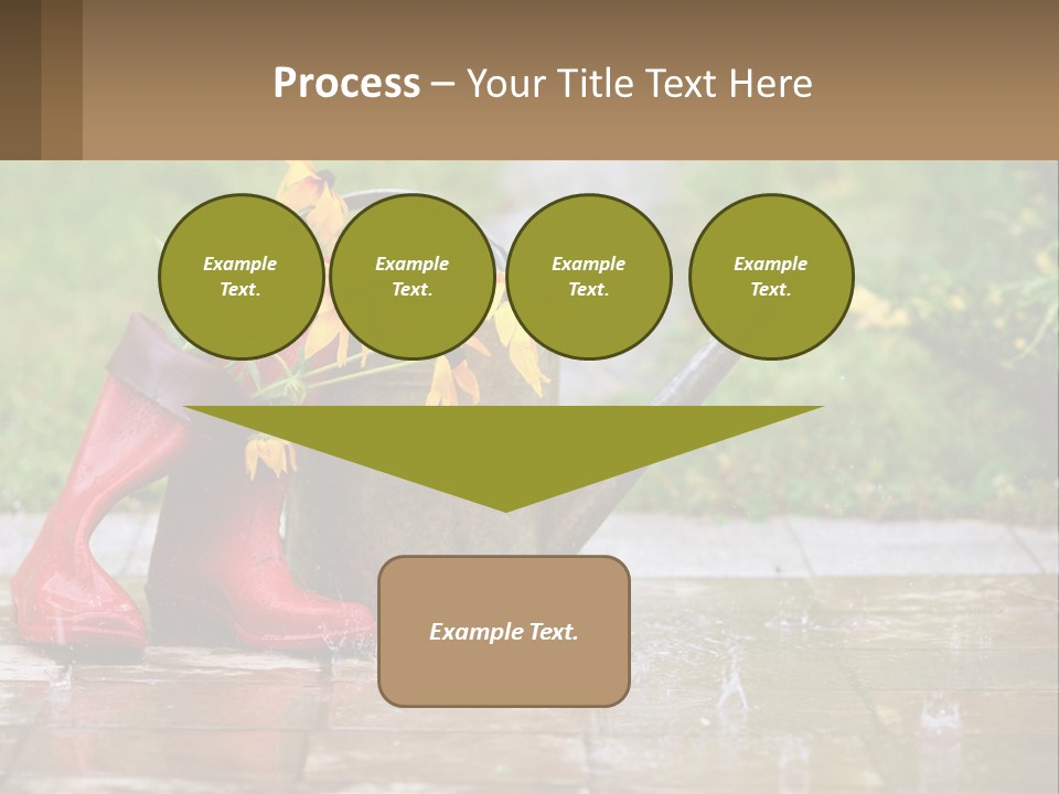 Watering Can And Flowers PowerPoint Template