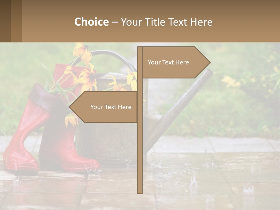 Watering Can And Flowers PowerPoint Template