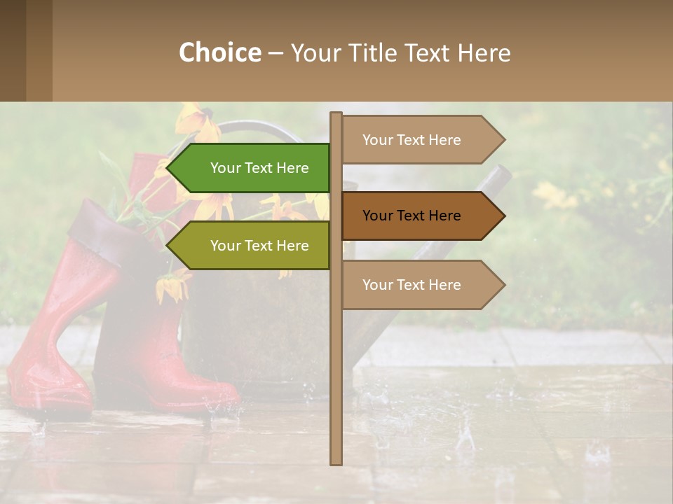 Watering Can And Flowers PowerPoint Template